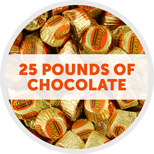 REESE'S Peanut Butter Cup Miniatures - 25 lb. Case